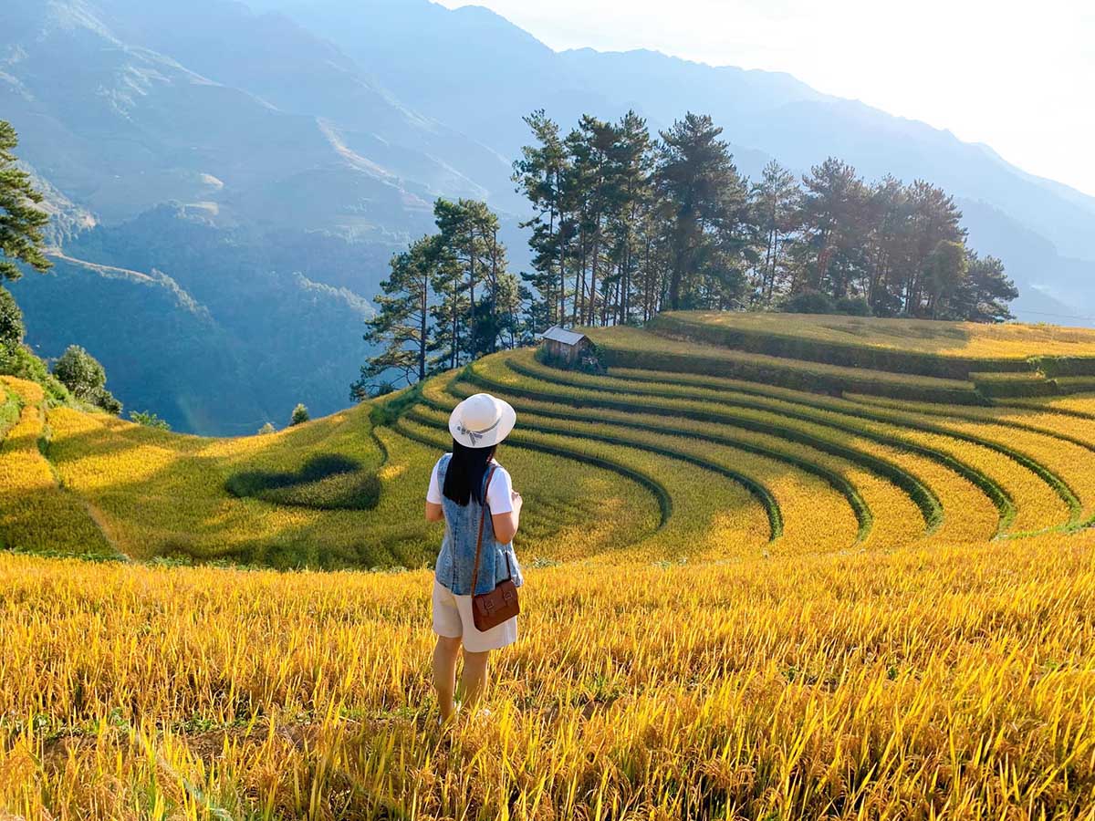 mu cang chai vietnam - rice terrace in vietnam